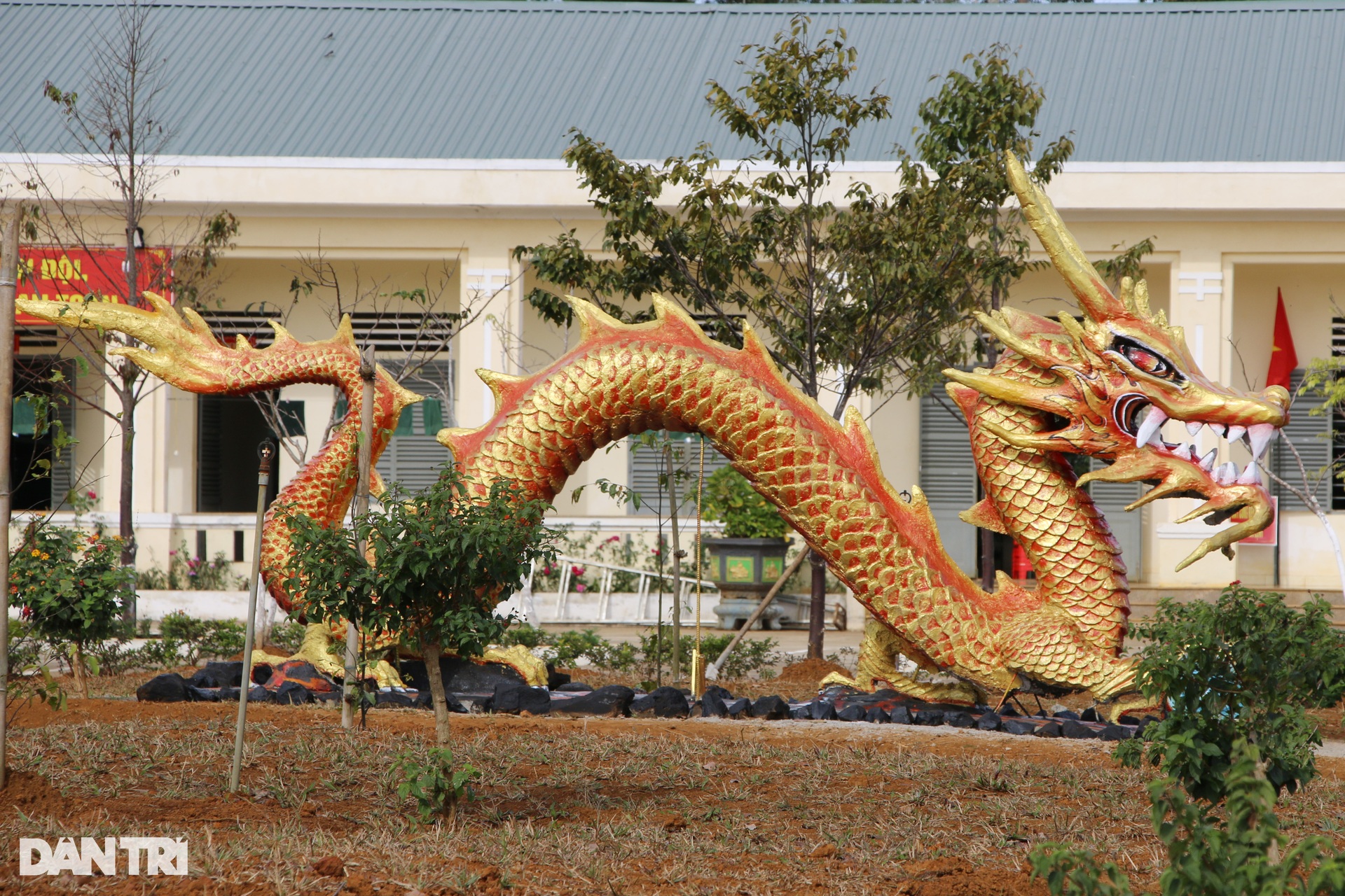 Linh vật rồng gây sốt mạng xã hội ở Đắk Nông - 10 Linh vật rồng gây sốt mạng xã hội ở Đắk Nông - 10