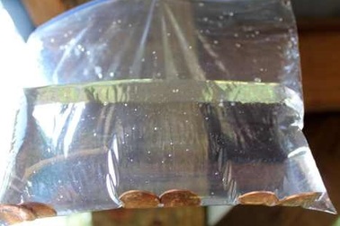 Cách đuổi ruồi ra khỏi nhà không tốn một xu