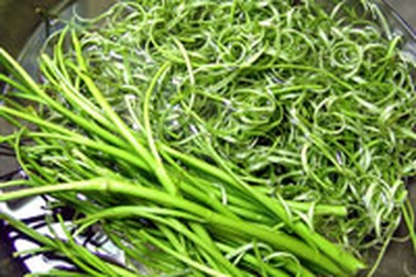 TPHCM: 64% rau thủy sinh nhiễm chì