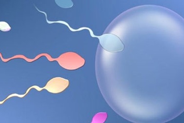 12 điều chưa biết về tinh trùng