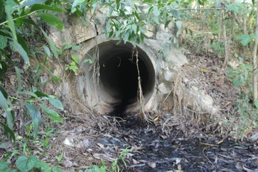 Khẩn trương kiểm tra núi rác thải "tra tấn" dân cả ngày lẫn đêm