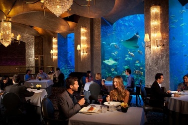 Top 10 nhà hàng sang nhất dành cho giới thượng lưu ở Dubai