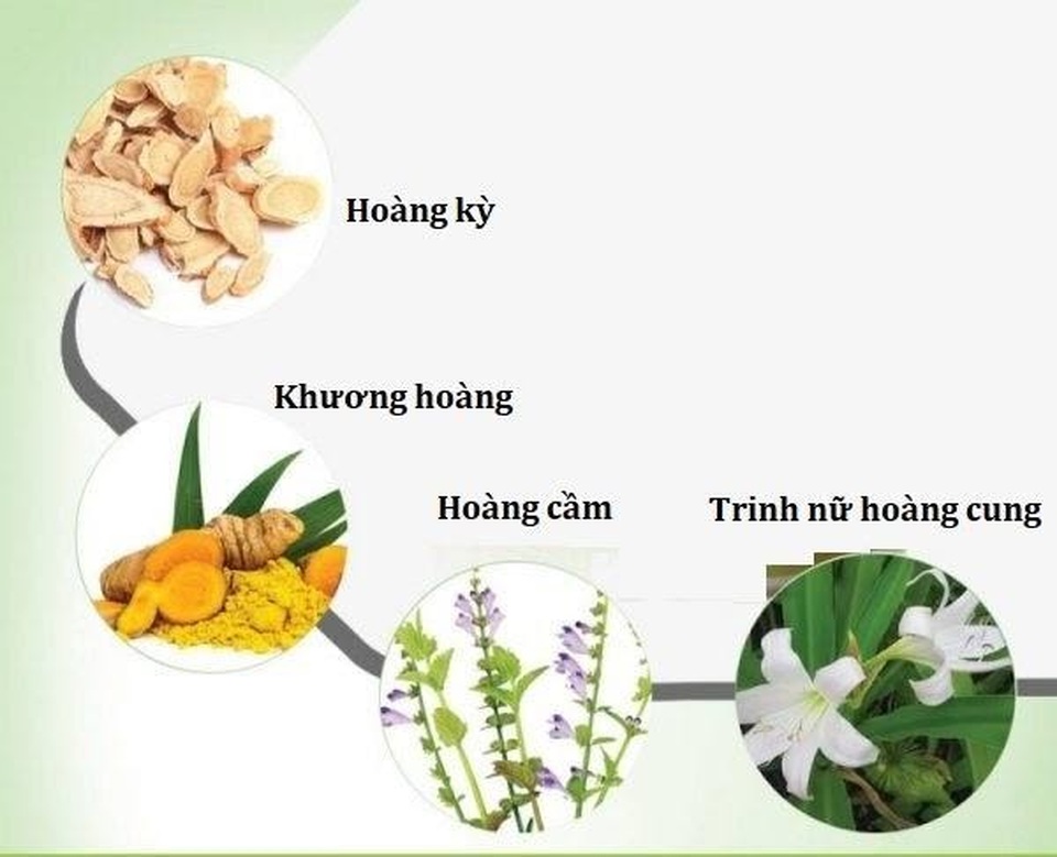Nguyên nhân gây u xơ tử cung và cách phòng ngừa, cải thiện hiệu quả nhờ Nga Phụ Khang - 2 Nguyên nhân gây u xơ tử cung và cách phòng ngừa, cải thiện hiệu quả nhờ Nga Phụ Khang - 2