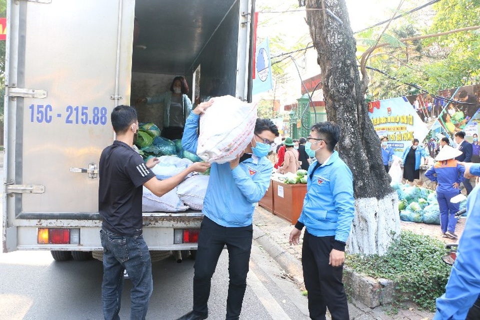 Hải Phòng: Đoàn viên, thanh niên giải cứu nông sản ứ đọng do Covid-19 - 1 Hải Phòng: Đoàn viên, thanh niên giải cứu nông sản ứ đọng do Covid-19 - 1