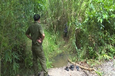 Xác bé gái 13 tuổi bị chôn trong bụi cây