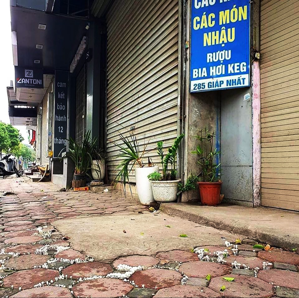 Nấm mốc, rêu phong bao phủ kín quán hàng sau chuỗi ngày dài đóng cửa - 4