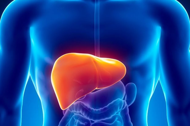 Gan quá tải mùa Lễ Tết và bí kíp giữ sức khỏe dịp Lễ Tết từ ba diễn viên nổi tiếng