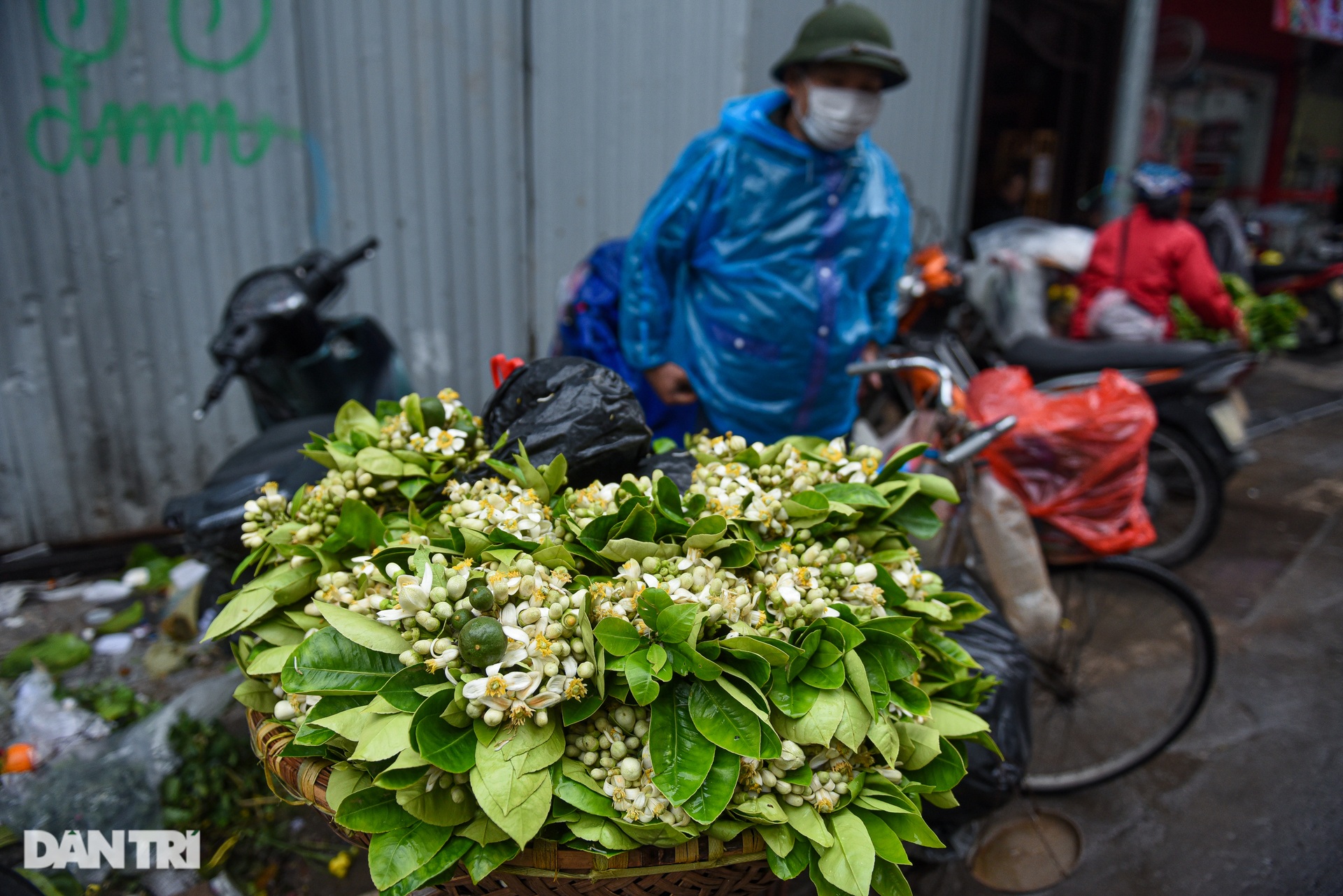 Tiểu thương chợ nhà giàu Hà Nội kêu ế không bán được hàng thì mất Tết - 8