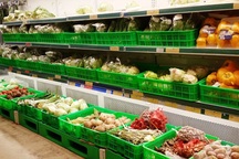 Nông sản xuất khẩu "gặp khó" vì tồn dư thuốc bảo vệ thực vật