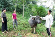 Cầu nối để hội viên phụ nữ thoát nghèo