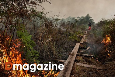 Hậu quả khủng khiếp của El Nino, chúng ta có thể làm gì để ngăn chặn?