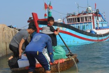 Ngư dân Lý Sơn kỳ vọng vào chuyến ra khơi dịp cuối năm âm lịch