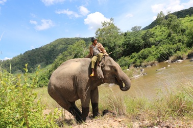 Con voi nhà cuối cùng của vùng đất Bắc Tây Nguyên