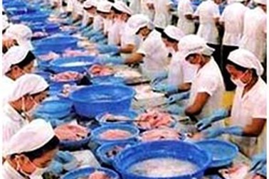 Cần hàng trăm nghìn tỷ đồng để xử lý chất thải công nghiệp