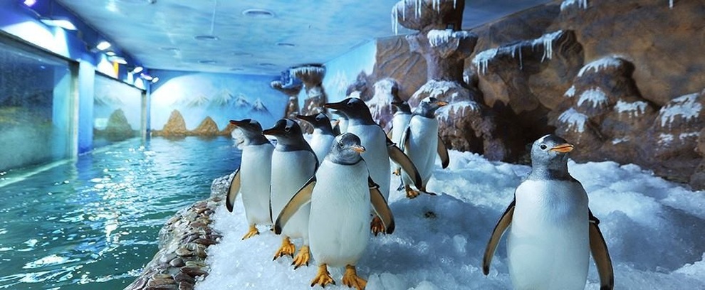 Chuyện ngôn tình đặc biệt dưới lòng đại dương - 2