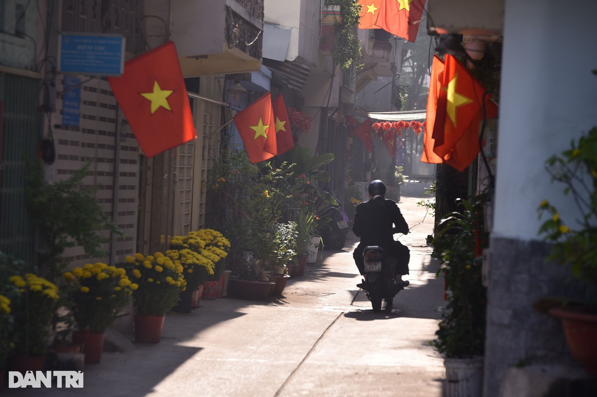 Ho Chi Minh City is peaceful and poetic on New Year's Day - 9