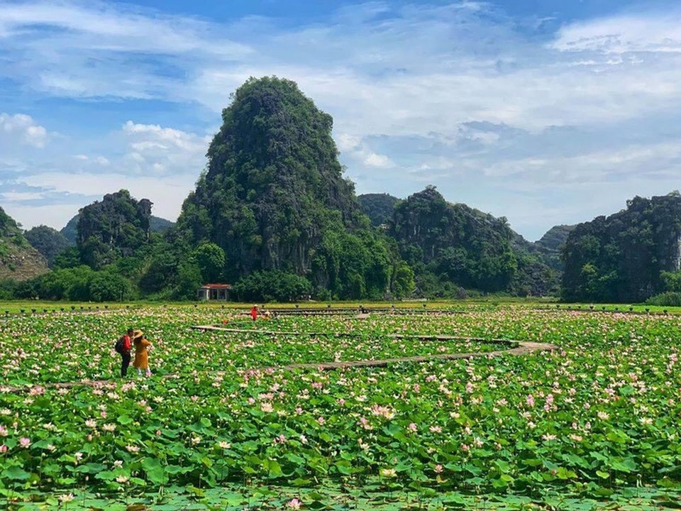 Phượng mọc giữa nhà gỗ, hồ sen nở rộ gây sốt ở “thánh địa sống ảo“ - 7 Phượng mọc giữa nhà gỗ, hồ sen nở rộ gây sốt ở “thánh địa sống ảo“ - 7