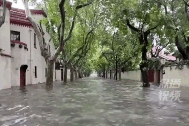 Khu phố toàn biệt thự, nhà cổ nổi tiếng ở Trung Quốc ngập nặng sau mưa