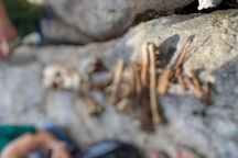 Phát hiện bộ xương người với nhiều đồ dùng cá nhân trong rừng