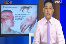  Phòng chống bệnh dại mùa nắng nóng