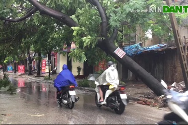 Hải Phòng: Nhiều tuyến đường bị ngập, cây xanh đổ gãy sau bão số 3