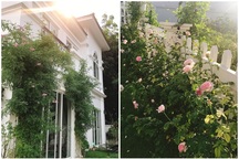 Biệt thự nhà vườn ngập tràn các loại hoa của gia đình ở Bình Dương