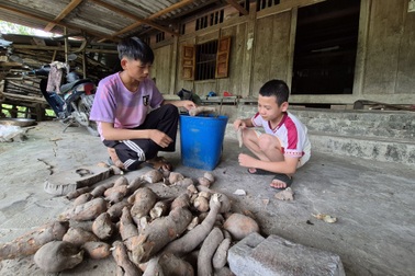 Ba đứa trẻ mồ côi cha, mẹ bỏ đi lấy chồng, nhà bị sập phải đi ở nhờ