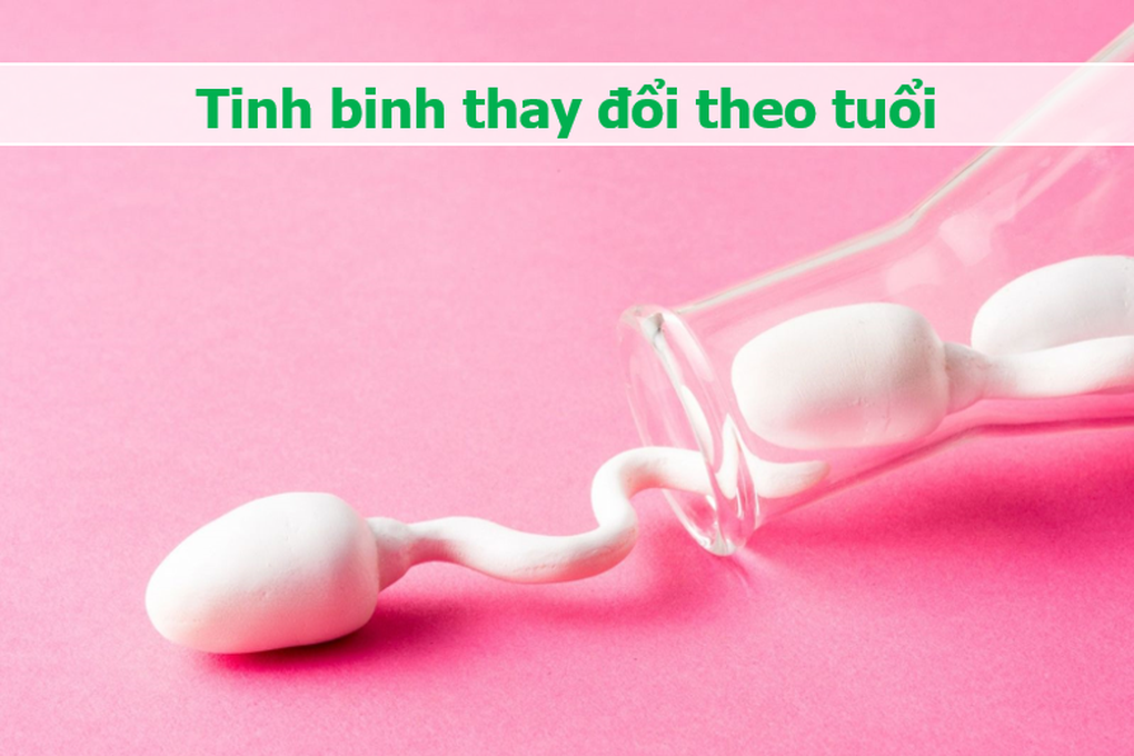 Tinh trùng và những điều bất ngờ: Vẫy đuôi 20 lần/giây, mất 70 ngày để lớn - 5 Tinh trùng và những điều bất ngờ: Vẫy đuôi 20 lần/giây, mất 70 ngày để lớn - 5