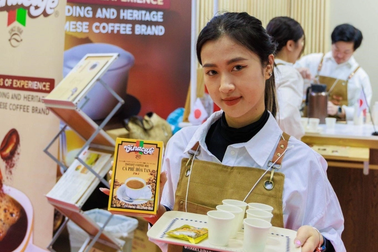 Khát vọng mở rộng, chiếm lĩnh thị trường quốc tế của thương hiệu 55 năm Vinacafé