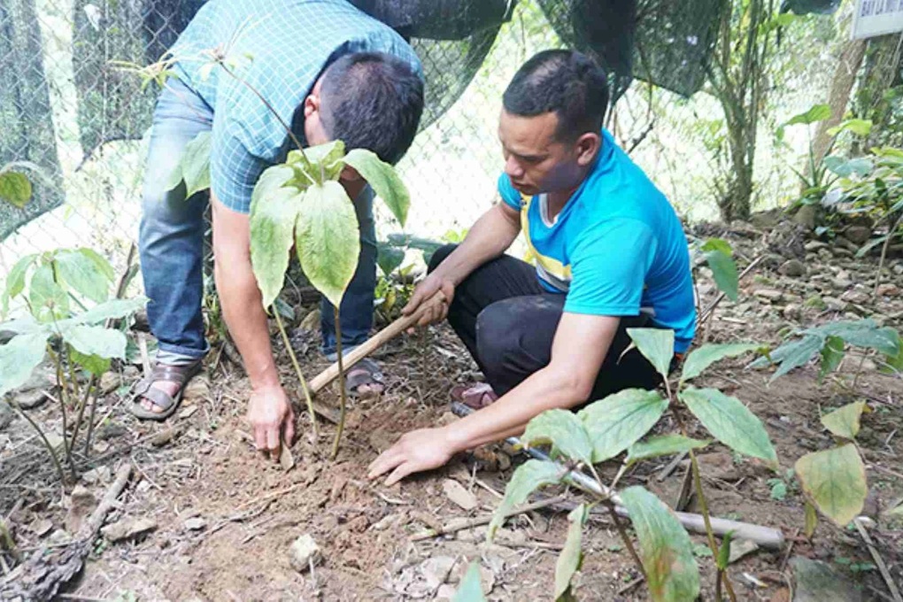 Công an điều tra 2 đề tài khoa học tiêu tốn tiền tỷ nhưng thất bại - 1 Công an điều tra 2 đề tài khoa học tiêu tốn tiền tỷ nhưng thất bại - 1