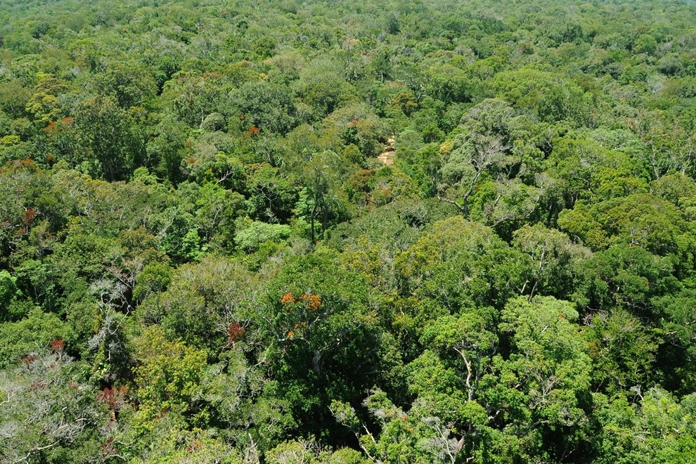 Ngắm khu dự trữ sinh quyển thế giới ở Việt Nam mới được UNESCO công nhận - 2 Ngắm khu dự trữ sinh quyển thế giới ở Việt Nam mới được UNESCO công nhận - 2