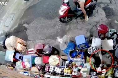 Xúi giục trẻ em phạm tội - Xử lý như thế nào?