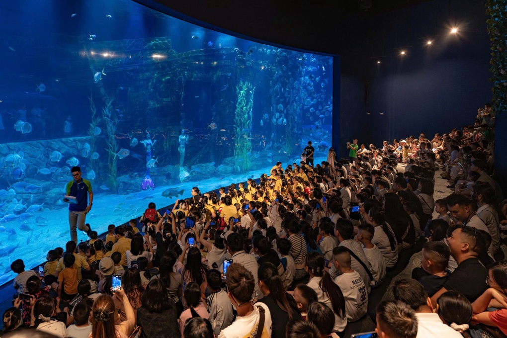 Lotte World Aquarium ហាណូយ ស្វាគមន៍អ្នកទស្សនាទី ១ លាននាក់ - ១ Thủy cung Lotte World Hà Nội đón vị khách thứ 1 triệu - 1