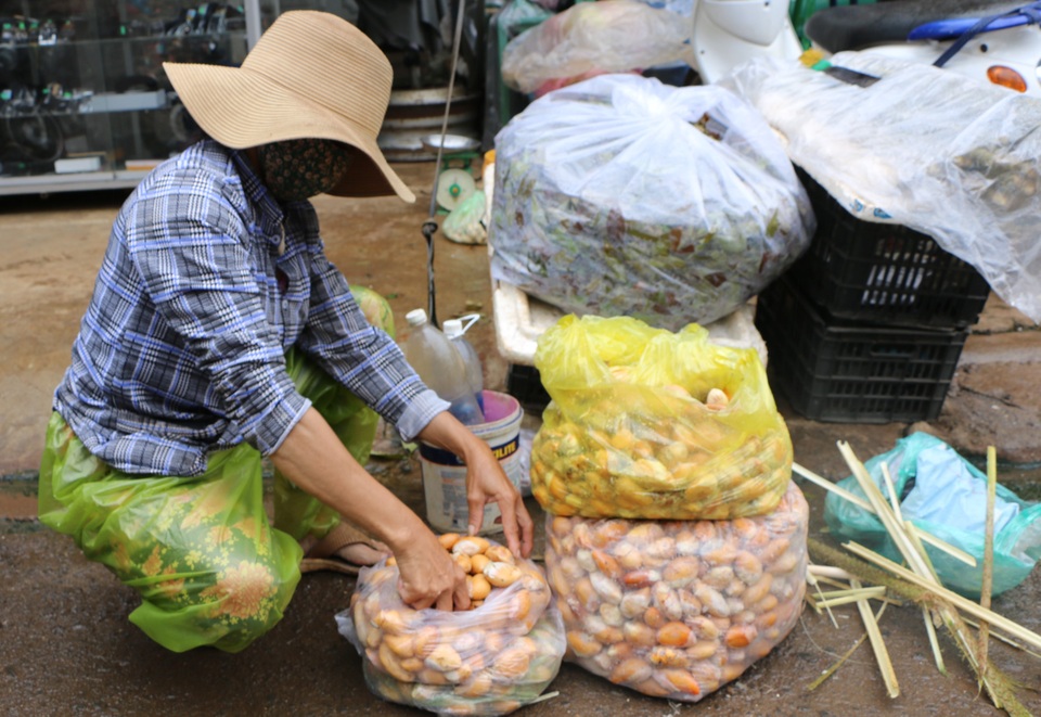 Đắk Nông: Kiếm nửa triệu đồng mỗi ngày nhờ mua thứ hạt ...bỏ đi - 2 Đắk Nông: Kiếm nửa triệu đồng mỗi ngày nhờ mua thứ hạt ...bỏ đi - 2