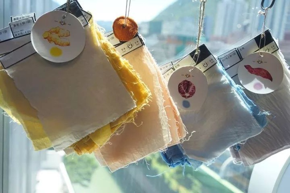 Chàng trai 7 năm gom 6 tấn rau củ hỏng, làm màu nhuộm bán khắp thế giới - 3 Chàng trai 7 năm gom 6 tấn rau củ hỏng, làm màu nhuộm bán khắp thế giới - 3