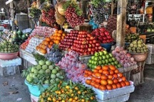 Phát hiện thức ăn chăn nuôi từ Trung Quốc chứa chất cấm