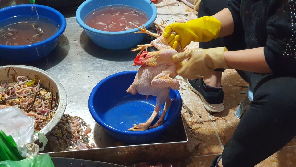 Hải Dương: Hốt bạc từ dịch vụ mổ gà thuê ngày Tết - 1 Hải Dương: Hốt bạc từ dịch vụ mổ gà thuê ngày Tết - 1