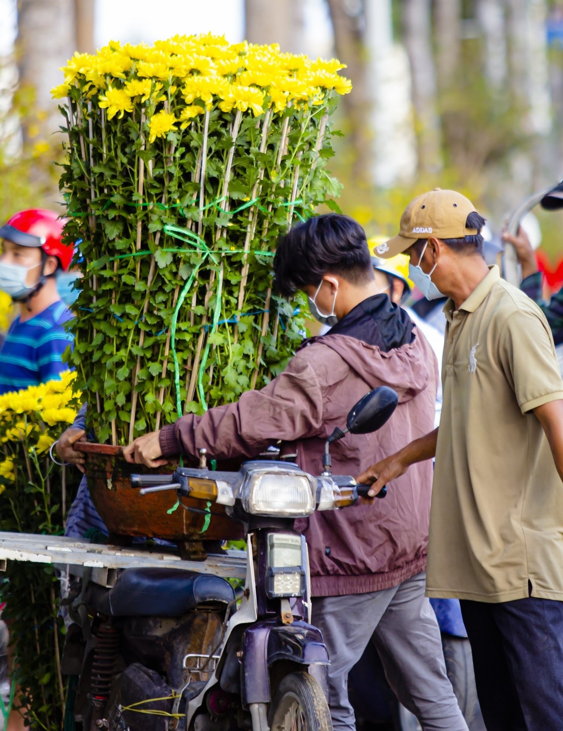Ninh Thuận: Người dân dạo chợ ngắm hoa là chính, ít người mua - 3 Ninh Thuận: Người dân dạo chợ ngắm hoa là chính, ít người mua - 3