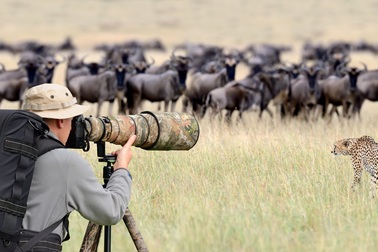 Các nhà làm phim giữ an toàn thế nào khi ghi hình động vật hoang dã? (P2)
