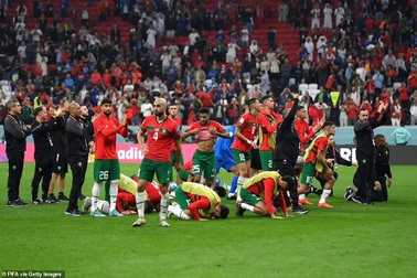 HLV Morocco: "Không đội bóng nào có thể vô địch World Cup nhờ phép màu"