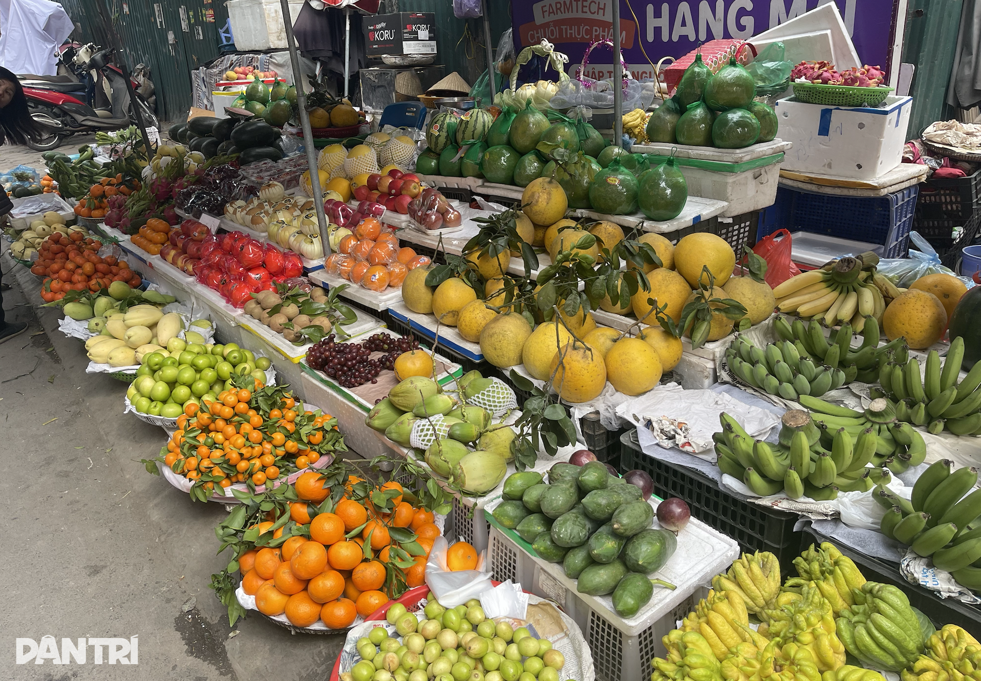 Pasar siang tanggal 30 Tet: Harga lebih murah, 300.000 VND cukup untuk membeli satu nampan berisi lima buah - 2 Chợ trưa 30 Tết: Giá mềm hơn, 300.000 đồng là đủ sắm cả mâm ngũ quả - 2