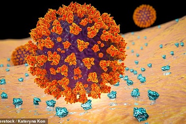 Thuốc ung thư thử nghiệm ngăn chặn virus corona nhân lên trong cơ thể