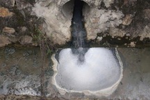 Trại lợn bị xử phạt 370 triệu đồng do vi phạm về môi trường