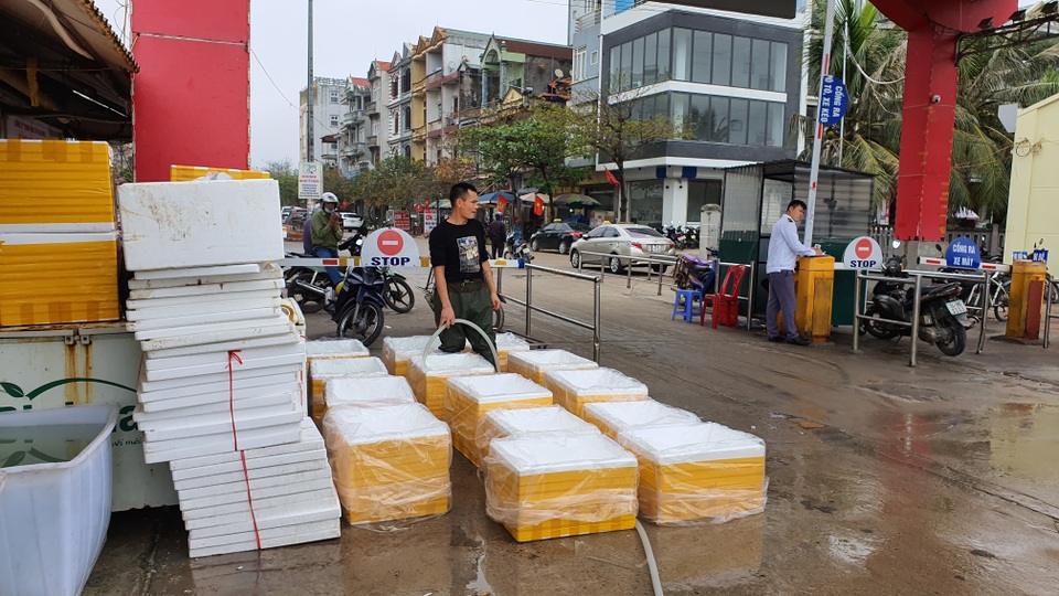 Mục sở thị chợ cá nổi tiếng ở Cái Rồng, Vân Đồn sau bão Covid-19 - 7 Mục sở thị chợ cá nổi tiếng ở Cái Rồng, Vân Đồn sau bão Covid-19 - 7