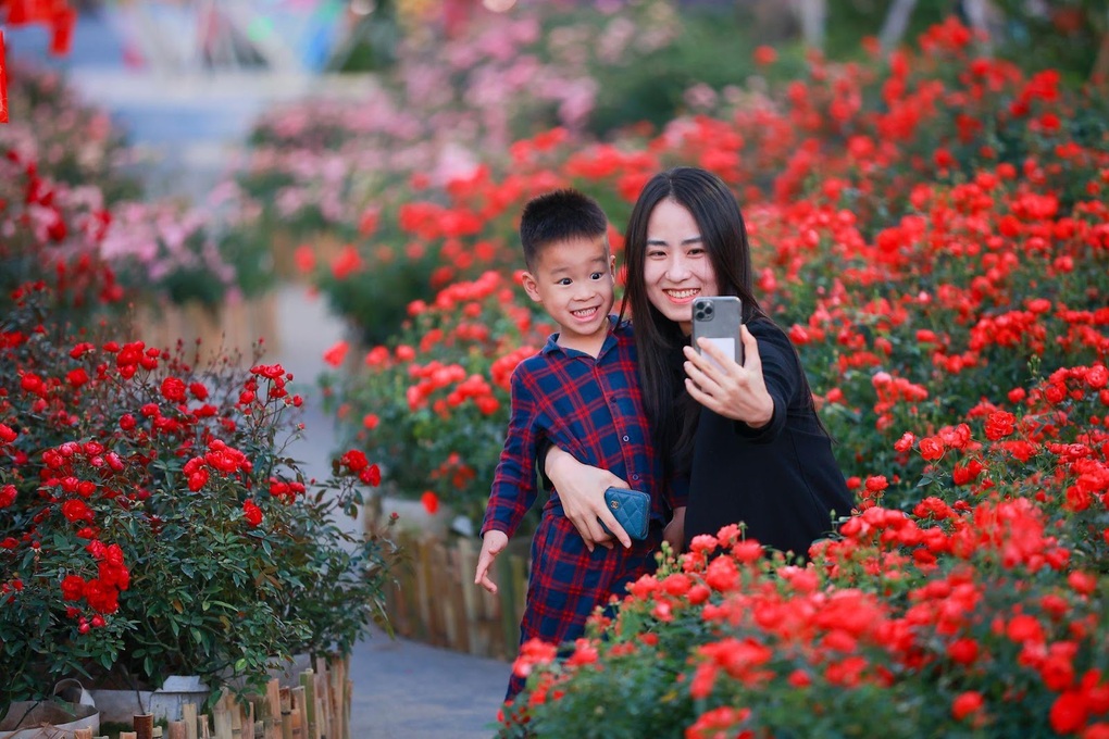 Đường hoa Home Hanoi Xuan 2023 thu hút giới trẻ Thủ đô - 1 Đường hoa Home Hanoi Xuan 2023 thu hút giới trẻ Thủ đô - 1