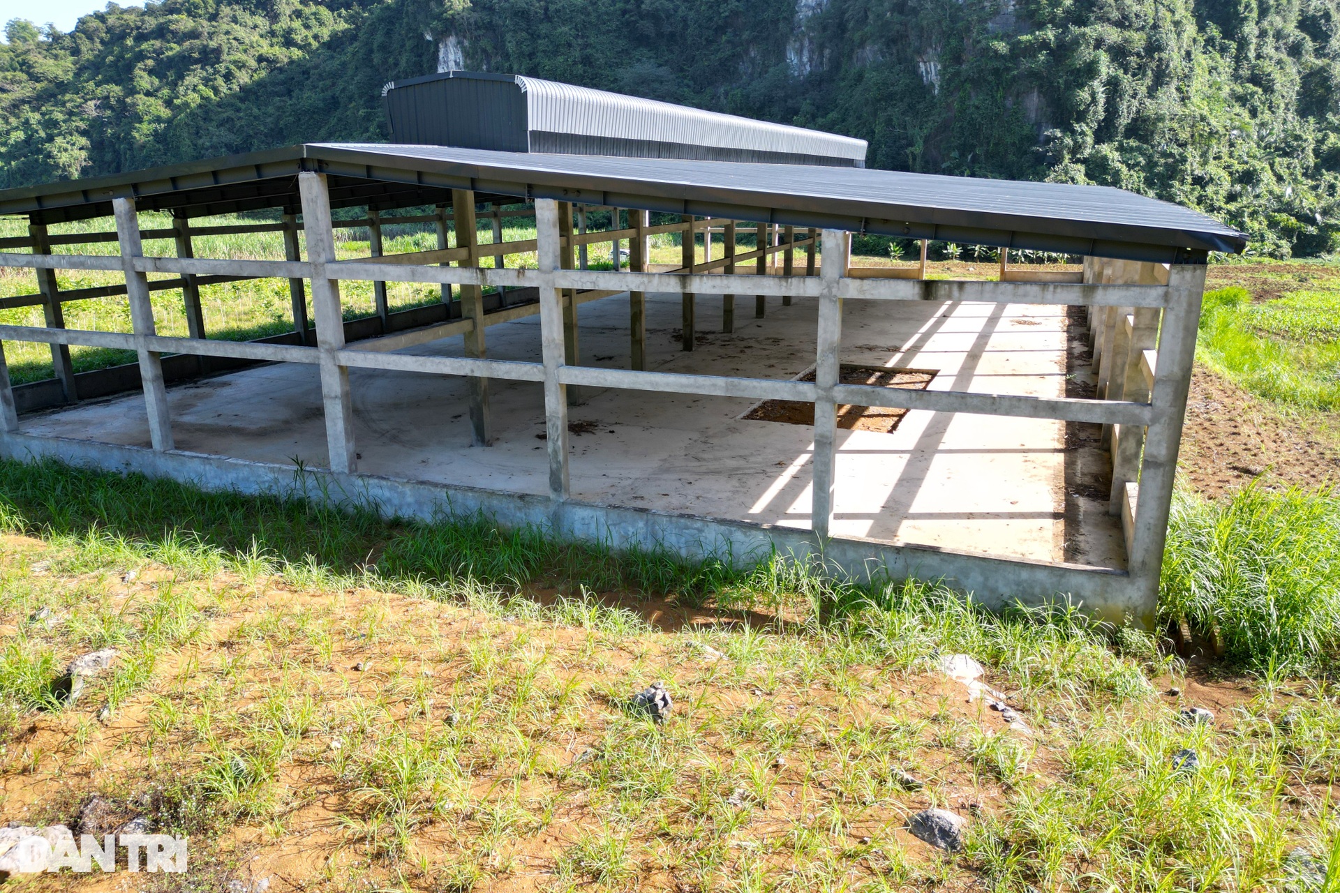 Khu nhà kiên cố rộng cả nghìn m2 bị bỏ hoang giữa núi rừng - 6 Khu nhà kiên cố rộng cả nghìn m2 bị bỏ hoang giữa núi rừng - 6
