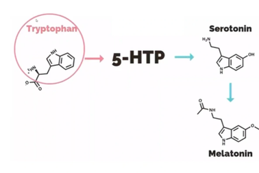 5 HTP và công dụng hỗ trợ cải thiện hội chứng ruột kích thích