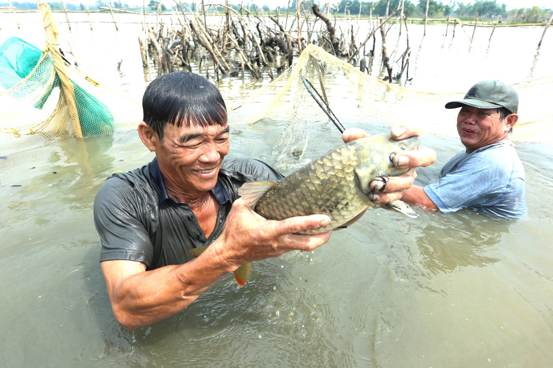 Khám phá hệ sinh thái ngập nước hiếm có giữa lòng thành phố Tam Kỳ - 3