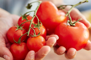 Ăn cà chua sống hay nấu chín tốt hơn?