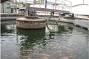 FrieslandCampina Việt Nam đoạt giải “Vì môi trường xanh Quốc gia”